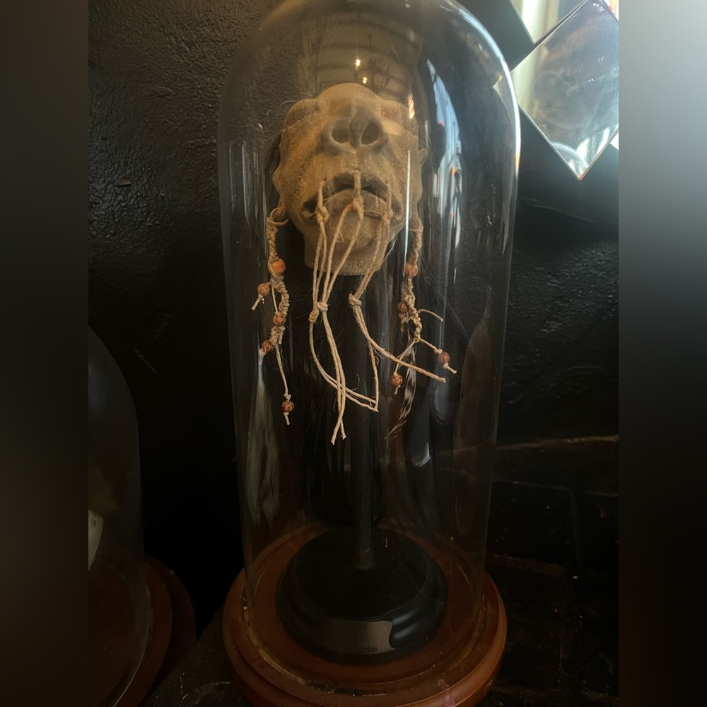 Vintage shrunken head on stand curiosities oddities horror glass display